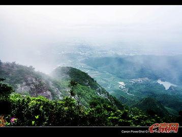 网友爆料莲花山的视频播放,网友惊叹如画仙境